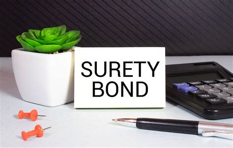 cash bail vs surety bail.